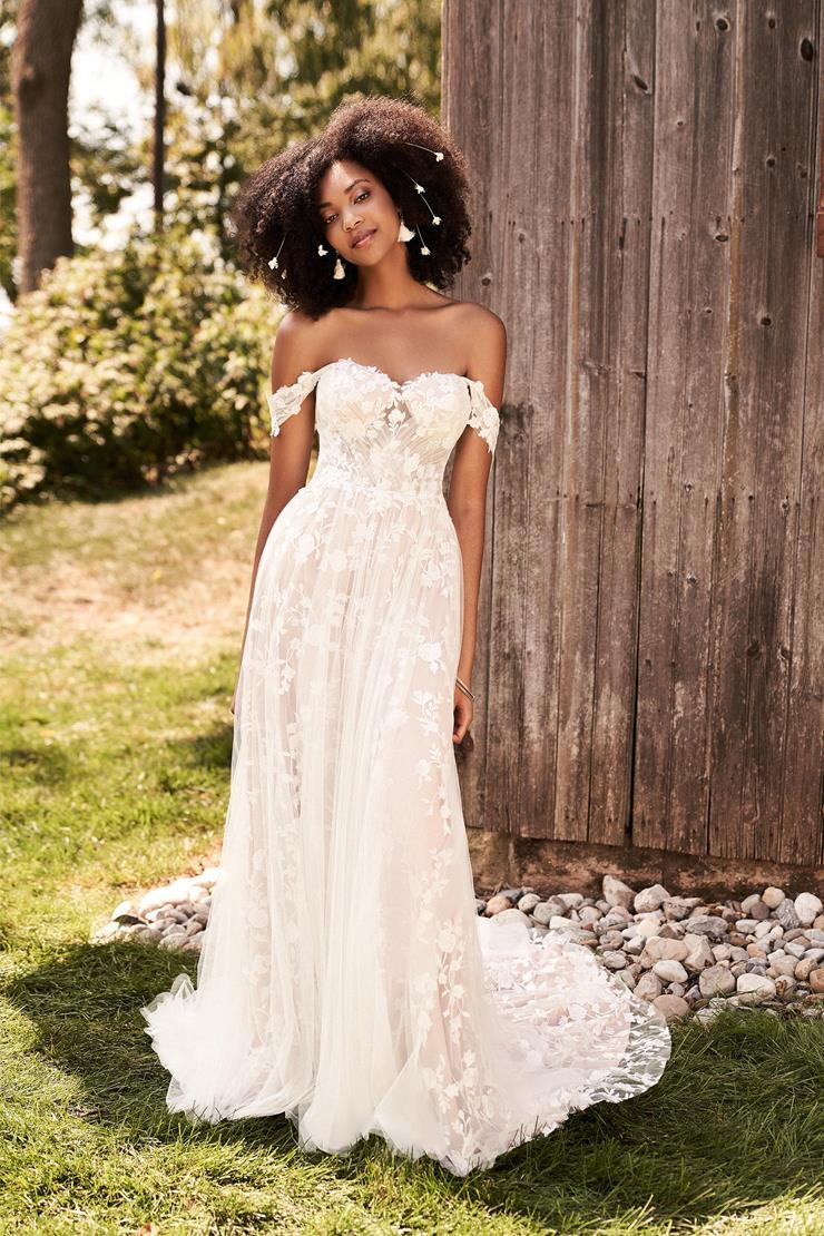 Upcoming Trunk Shows Image